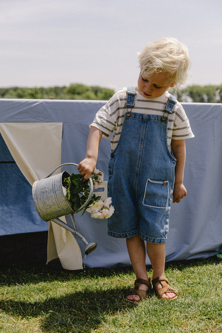 Julou Table Tent