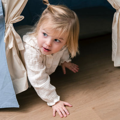 Tabletop Tent